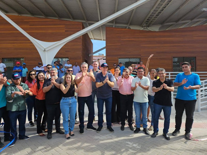 pinheiros julho 2024-1