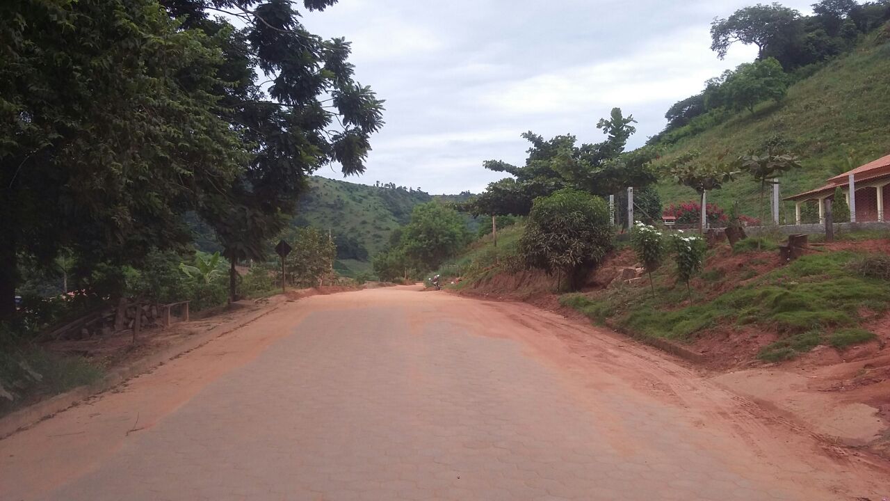 Sobreiro a Laranj Terra
